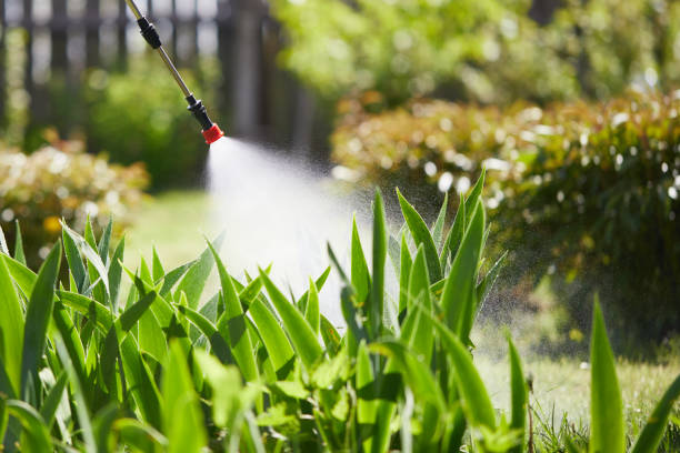 24/7 Emergency Mosquito Control experts in Southgate, FL